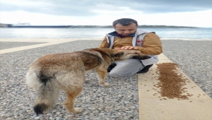 İzmir'de kısıtlama günlerinde sokak hayvanları için yaklaşık 100 ton mama dağıtıldı