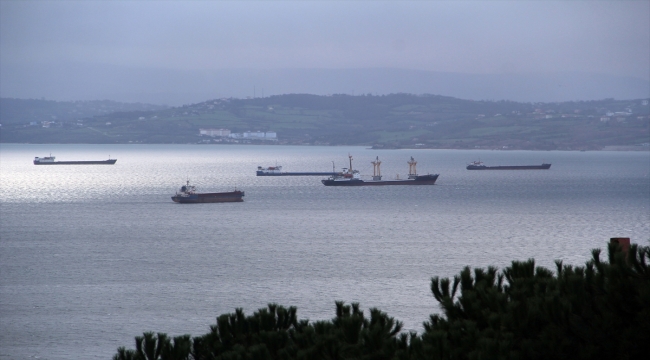 Karadeniz'deki fırtınadan kaçan gemiler Sinop doğal limanına sığındı 