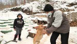 Kastamonu'da başını plastik boruya sıkıştıran köpeği vatandaşlar kurtardı