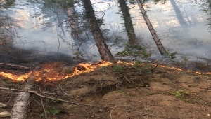 Kastamonu'da çıkan orman yangını kontrol altına alındı