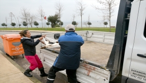 Kocaeli'de 3 sokak köpeğinin ölümüne ilişkin soruşturma