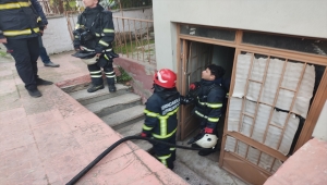 Kocaeli'de apartmanda çıkan yangında 80 muhabbet kuşu kurtarıldı