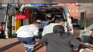 Kocaeli'de çiftlikte çıkan yangında 3 kişi yaralandı