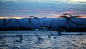 Lodosun ardından İğneada'da hamsinin izini süren balıkçılar umduğunu bulamadı