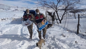 Malatya'da jandarma ekipleri kısıtlamada sokak hayvanlarına 400 kilogram mama bıraktı