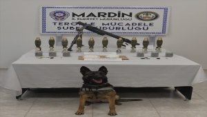 Mardin'de terör örgütüne yönelik operasyonda havan rampası ve mühimmatı ile patlayıcı ele geçirildi