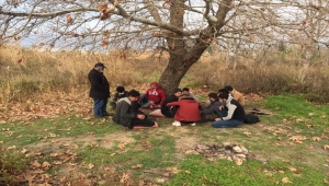 Mersin'de 14 düzensiz göçmen yakalandı 