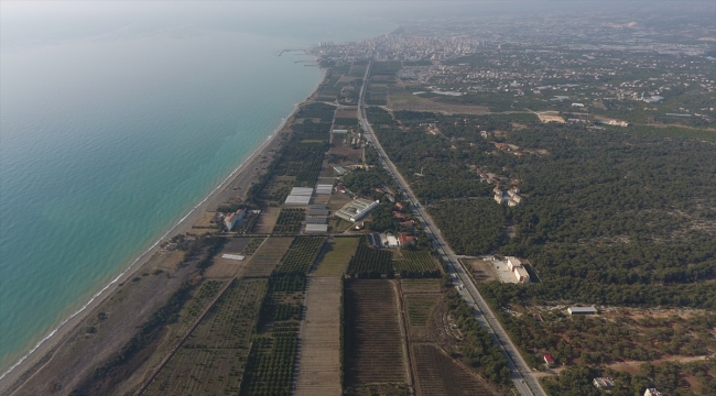 Mersin'de Alata Sahili'nin "kesin korunacak hassas alan" ilan edilmesi sevinci