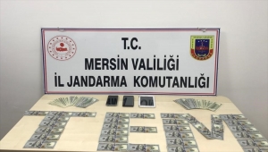 Mersin'de DEAŞ operasyonu: 2 gözaltı