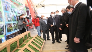 Muğla'da tıbbi ve aromatik bitkiler gelir kaynağı olacak