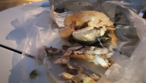 Muş'ta tavuk dürüm arasına gizlenmiş uyuşturucu ele geçirildi 