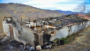 Ordu'da yanan kümesteki 1500 tavuktan 400'ü telef oldu