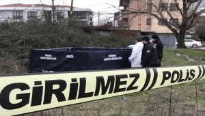 Sakarya'da otluk alanda erkek cesedi bulundu
