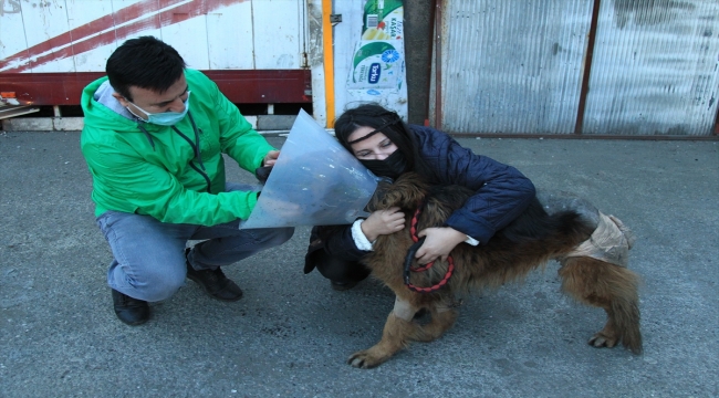 Samsun'da dükkanının önünde baktığı köpeğini ayağı kesik vaziyette bulan esnaf şikayetçi oldu