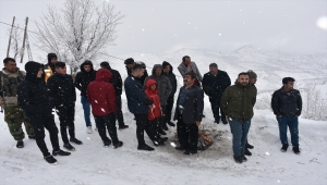 Şırnak'ta kar nedeniyle yolda mahsur kalan 65 kişi kurtarıldı