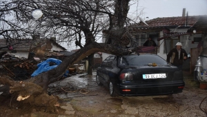 Tekirdağ'da şiddetli rüzgar nedeniyle elektrik direği ve ağaçlar devrildi