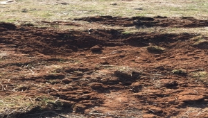 Tel Abyad'da 262 kilo 500 gram patlayıcı ele geçirildi