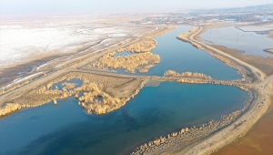 "Türkiye'nin çatısı" kış göçmeni misafirlerini ağırlıyor