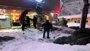 Zonguldak'ta yoğun kar yağışından devrilen ağaçlar 20 otomobile zarar verdi