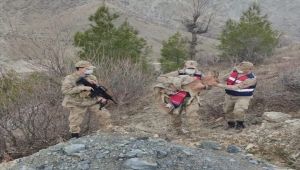 Adıyaman'da yaralı bulunan dağ keçisi tedavi altına alındı