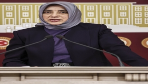 AK Parti Grup Başkanvekili Zengin, gündemi değerlendirdi: