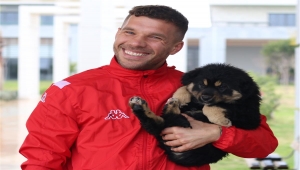 Antalyaspor'un yavru köpekli Sevgililer Günü paylaşımı ilgi çekti