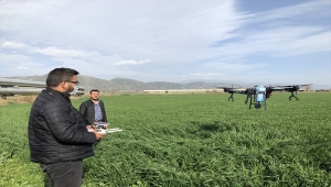 Aydın'da tarım arazileri drone ile ilaçlanabilecek