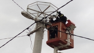 Baharda göçle gelecek leylekler Edirne'de yuvalarını hazır bulacak
