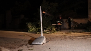 Bursa'da lodos elektrik direğini ve ağacı devirdi