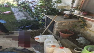Datça'da evinin çatısından ağaç dalı budayan kişi zemine düşerek öldü