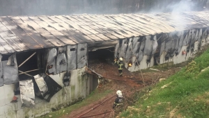 GÜNCELLEME - Kocaeli'de tavuk çiftliğindeki yangın hasara neden oldu