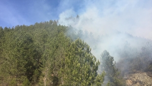 Kastamonu'da 2 farklı noktada çıkan örtü yangını kontrol altına alındı