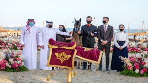 Katar'da düzenlenen "Katara Uluslararası Arap Atları Festivali" sona erdi