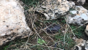 Mardin'de PKK'lı teröristlerin araziye tuzakladığı mayın imha edildi 
