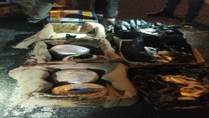 Niğde'de balık kolilerine gizlenmiş 51 kilo 950 gram esrar ele geçirildi