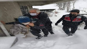 Ordu'da yardıma koşan jandarma, evinden çıkamayan yaşlı hastayı sırtında ambulansa taşıdı