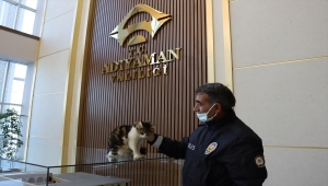 Patisiyle pencereden "beni içeri al" mesajı veren Boncuk, Adıyaman Valiliğinin maskotu oldu