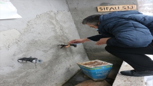 Sıcaklığın eksi 12 dereceye düştüğü Mudurnu'da dev buz sarkıtları oluştu