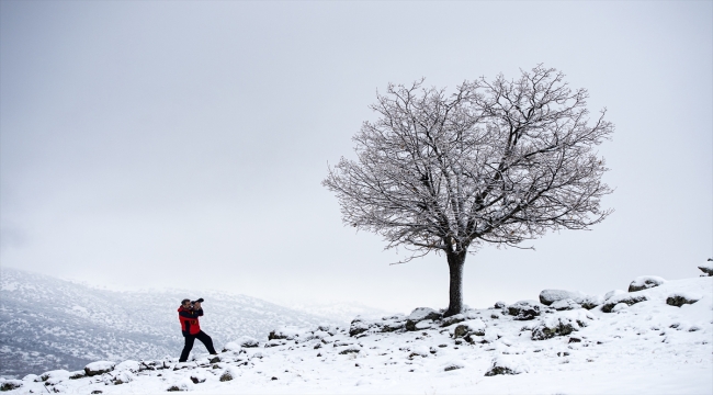 Tunceli'de karla kaplanan doğa kartpostallık manzaralar oluşturdu