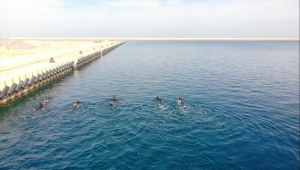 Türk askeri, Libyalı askerlere "kurbağa adam" eğitimi verdi