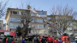 Üsküdar'da yangın