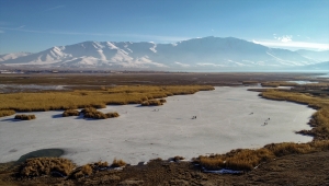Van'da donan sazlıklar balıkçıların ve fotoğraf tutkunlarının uğrak yeri oldu