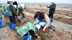 Çorum Valisi Mustafa Çiftçi sığınmacı çocuklarla fidan dikti