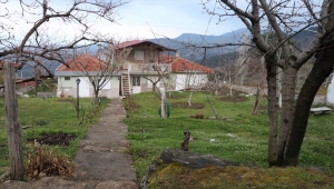 Denizli'de arsa anlaşmazlığında tüfekle vurulan kişi öldü