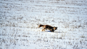 Doğu Anadolu'da dondurucu soğuklar martta da etkisini sürdürüyor