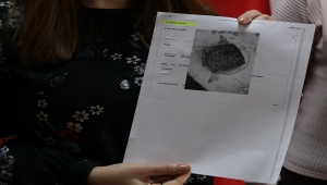 Edirne'de başvuru sistemine "kek tarifi", "laboratuvar sonucu" yükleyen esnaf destekten yararlanamadı