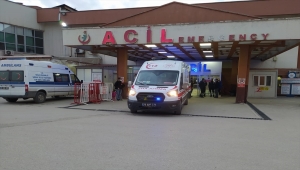 GÜNCELLEME - Şırnak'ta arazide bulunan mühimmatın patlaması sonucu 2 çocuk öldü