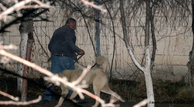 Kayseri'de komşusunun köpeğinin saldırısına uğrayan kişi yaralandı