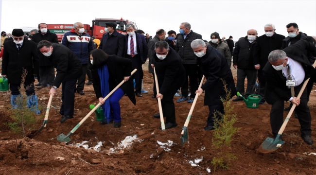 Kırşehir'de "Ahi Evran Kardeşlik Ormanı" oluşturuldu