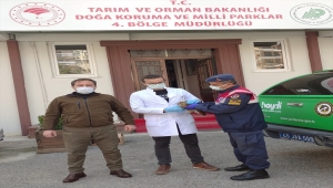 Manisa'da yol kenarında bulunan yaralı baykuş koruma altına alındı